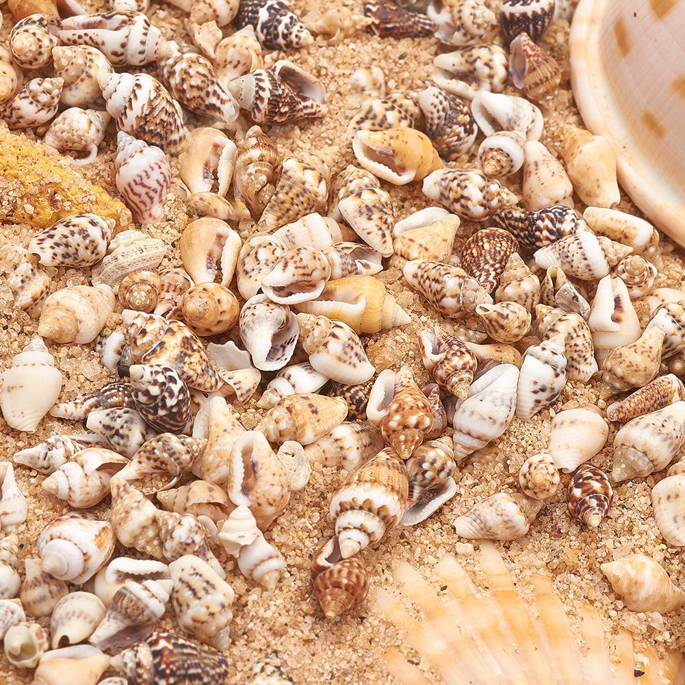 Wholesale Non-porous Natural Shell Small Conch Lemon Color Beads